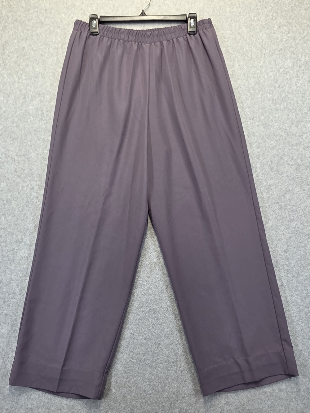 R&M Richards Women’s 14P Mauve Purple Pull On Pants Petite Elastic Waist